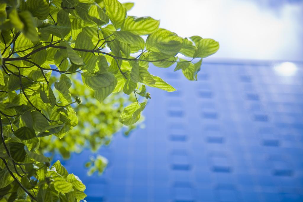 Tokyo Green Palace Exterior photo